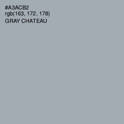 #A3ACB2 - Gray Chateau Color Image